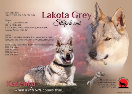 Lakota Grey Střípek snů
